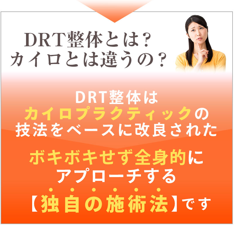 DRT整体とは