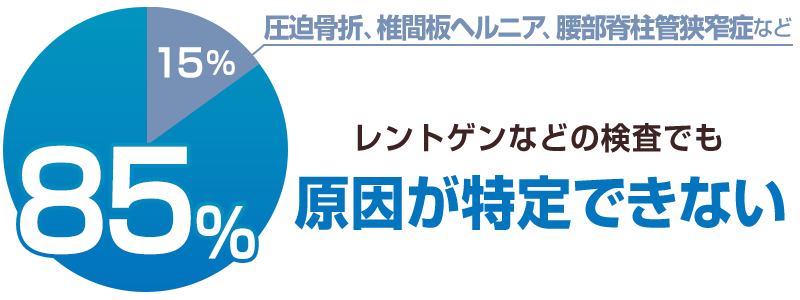 腰痛の約85％は原因不明